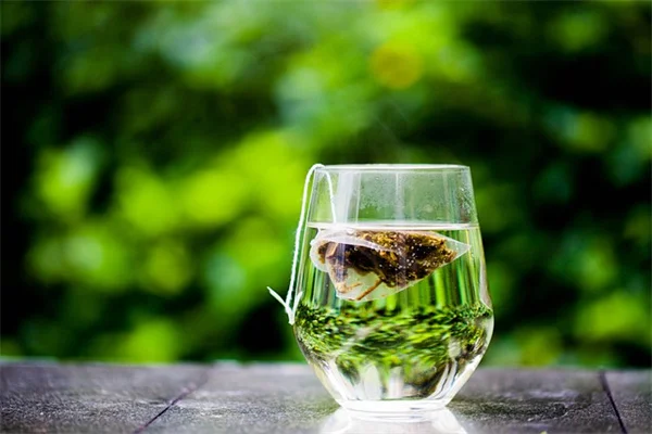 庭に植えてはいけない！よく見かける侵入性灌木5選と安全な在来代替品