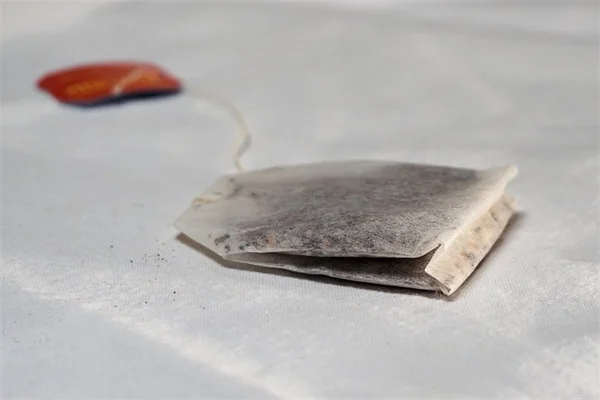 八月の挿し木で成功率を上げる5つのコツ 初心者向け半熟枝挿しガイド