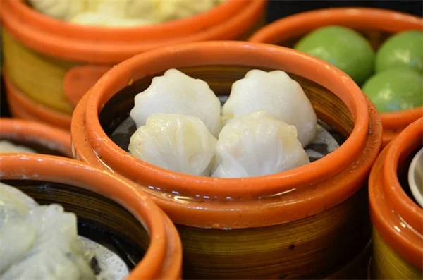 実は花じゃなかった！仏炎苞と肉穂花序の真実と育て方のコツ
