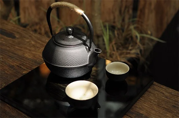 私のおすすめ多年生ツル植物6選｜小さい庭に立体感と花を簡単追加